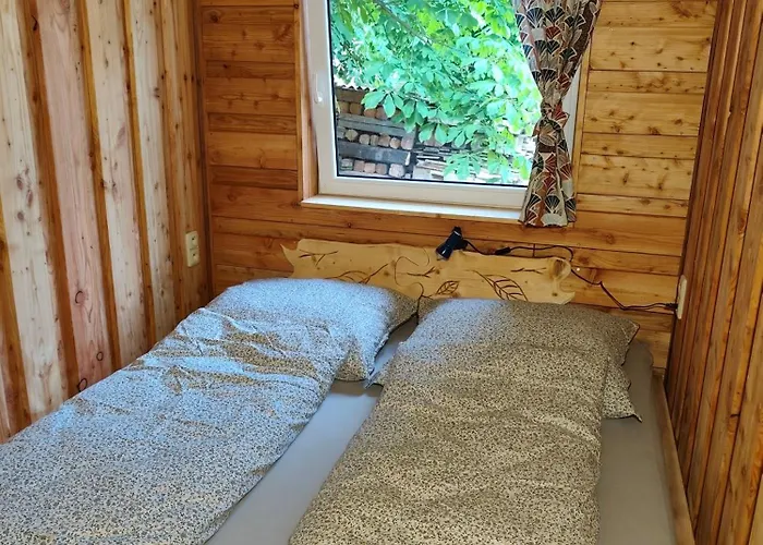 Karel - Camp Pod Kastany Morávka